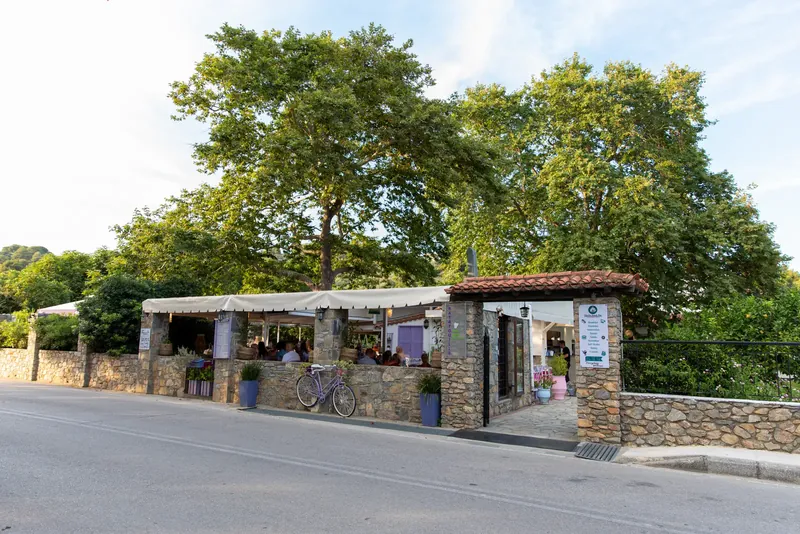 Ratatouille restaurant under the big plane tree, by the road